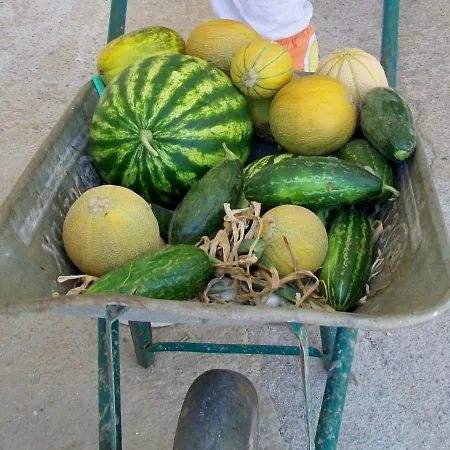 Masseria La Lizza - Ospitalita Rurale * レッチェ