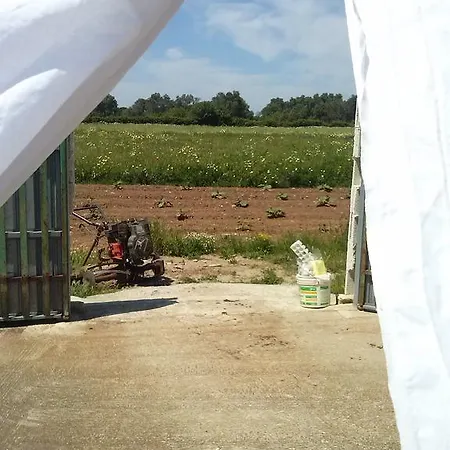 Masseria La Lizza - Ospitalita Rurale レッチェ